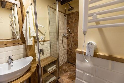 a bathroom with a sink and a shower at Stará škola in Dolní Malá Úpa