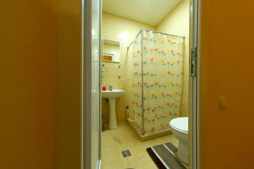 a bathroom with a shower and a toilet and a sink at House 1899 in Kutaisi