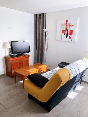 a living room with a couch and a tv at Le Rieussec in Saillans
