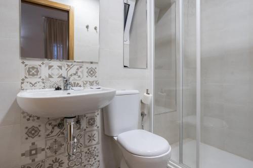 La salle de bains est pourvue de toilettes, d'un lavabo et d'une douche. dans l'établissement Encantador loft Teatro Falla, à Cadix