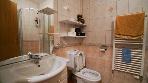 uma pequena casa de banho com lavatório e WC em Forest Dream Bjelasnica em Bjelašnica
