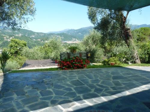 a stone patio with a view of a garden at la gatta sul sentiero in San Salvatore