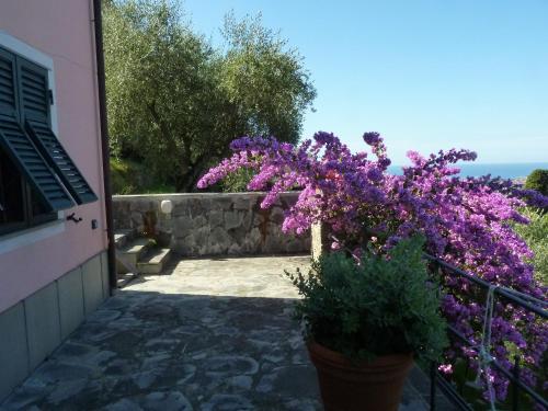 a house with purple flowers in a pot on a balcony at la gatta sul sentiero in San Salvatore