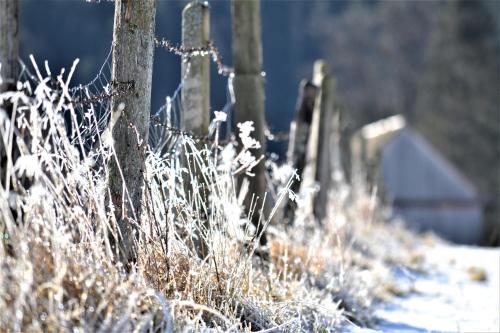 a fence covered in snow next to a field with grass at Höblinghof in Schwarzau im Gebirge