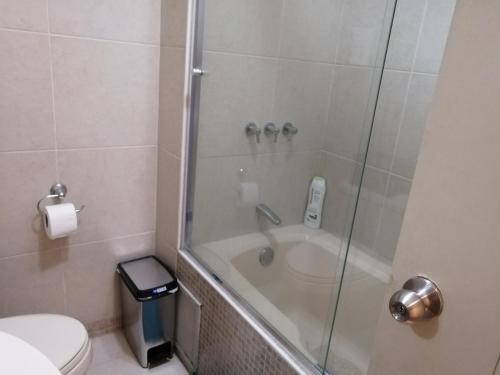 a bathroom with a shower with a sink and a toilet at Casa Marite in Lima