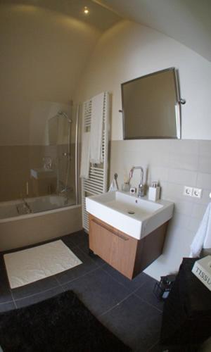 a bathroom with a sink and a shower and a tub at Prince On The Roof in Amsterdam