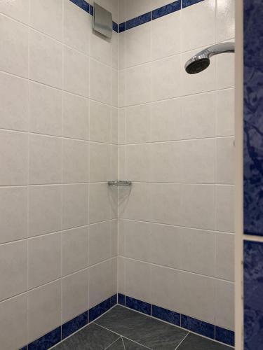 a bathroom with a shower with blue and white tiles at Chalet Victoria in Sankt Niklaus