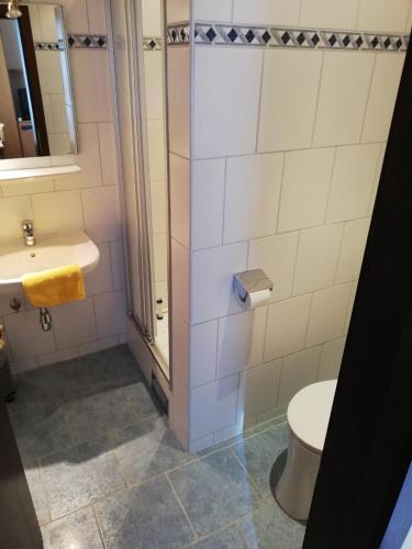 een badkamer met een douche, een toilet en een wastafel bij Gasthof Kogler-Greisinger in Frankenmarkt