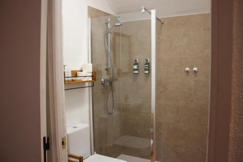 ein Bad mit einer Dusche und einem WC in der Unterkunft Santamaría - Mirador de Pedraza in Pedraza