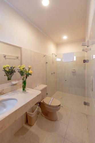a bathroom with a toilet and a sink and a shower at Tecnohotel Itzáes in Mérida