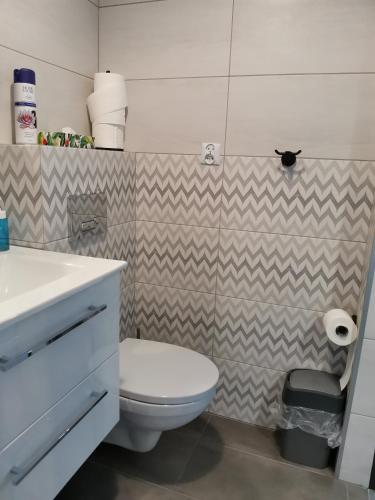 Ένα μπάνιο στο Apartamenty Jaskinia Solna