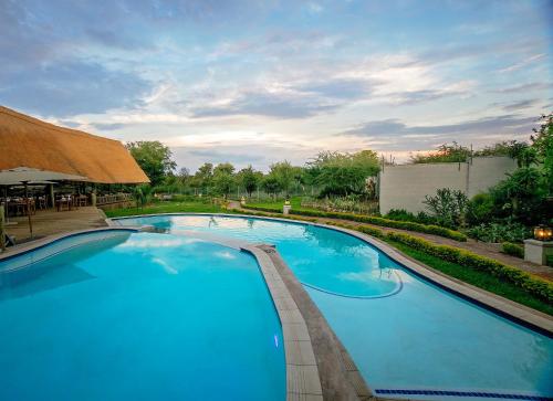 a large swimming pool with blue water at Shearwater's Explorers Village in Victoria Falls