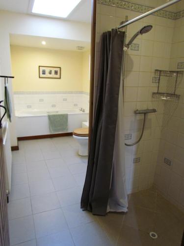 a bathroom with a shower and a tub and a toilet at Prestwick Byre in Chiddingfold