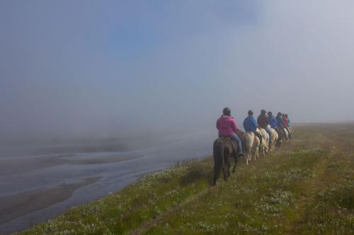 a group of people riding horses down a hill at Húsey Hostel & Horsefarm in Egilsstadir