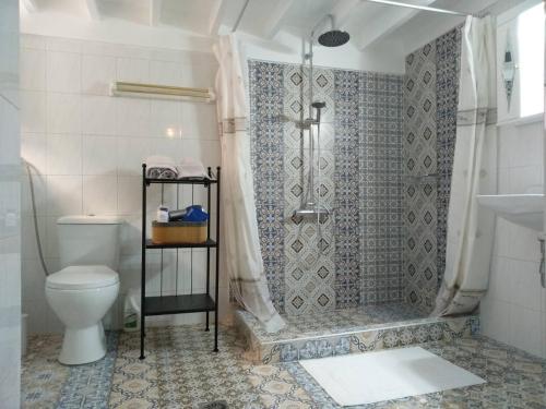 a bathroom with a shower and a toilet at Aspa's Traditional House in Plomari