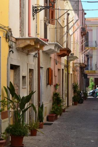 eine Gasse mit Topfpflanzen an der Seite eines Gebäudes in der Unterkunft Antica Casa Tabarkina in Carloforte