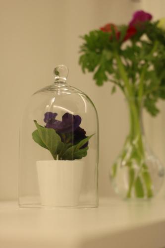 a glass jar with a flower in a vase and a vase with roses at Moro 34 in Bari