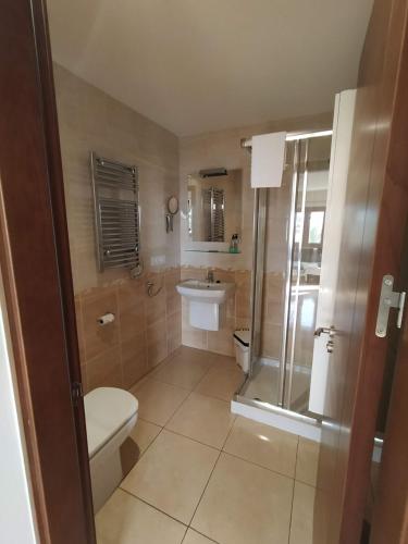La salle de bains est pourvue de toilettes, d'un lavabo et d'une douche. dans l'établissement Hotel Gran Sol, à Calp