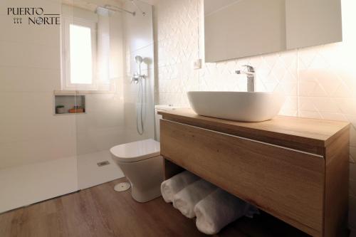 une salle de bain avec un lavabo, des toilettes et une douche dans l'établissement Apartamentos Puerto Norte - Apto 2, à Puerto de Vega
