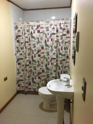 La salle de bains est pourvue de toilettes et d'un rideau de douche. dans l'établissement HOSTAL CAUQUENES, à De Cauquenes