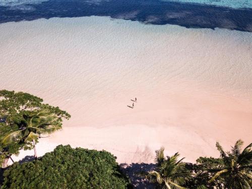 two birds flying over a beach with palm trees at Wellesley Resort Fiji in Vunaniu