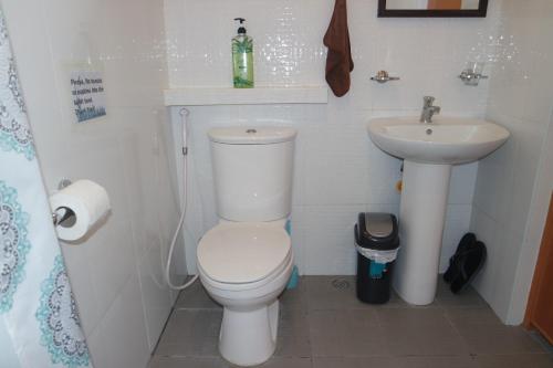 a small bathroom with a toilet and a sink at Yoo C Apartment in Dumaguete