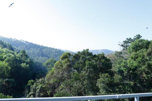 a view of a forest of trees on a hill at Casillda Munnar in Munnar