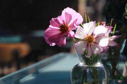 a glass vase with pink and white flowers in it at Brickyard Retreat at Mutianyu Great Wall Adjoin to Mutianyu Great Wall - Room with the View of Great Wall - Chinese massage experience - Vehicle Shuttle Service - International Catering - SPA& Nail Beauty Facilities in Huairou