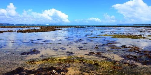 a large body of water with rocks and grass at SOU東恩納 in Uruma
