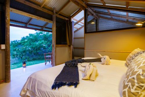 Gugulesizwe Camp في Mabibi: سرير كبير في غرفة مع نافذة كبيرة