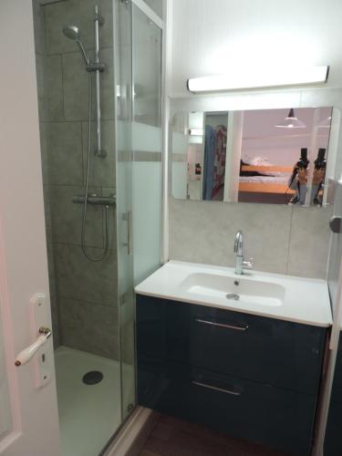 une salle de bain avec un lavabo et une douche avec un miroir dans l'établissement Le Saint Amand, studio cabine, agréable terrasse sud, à Le Touquet-Paris-Plage
