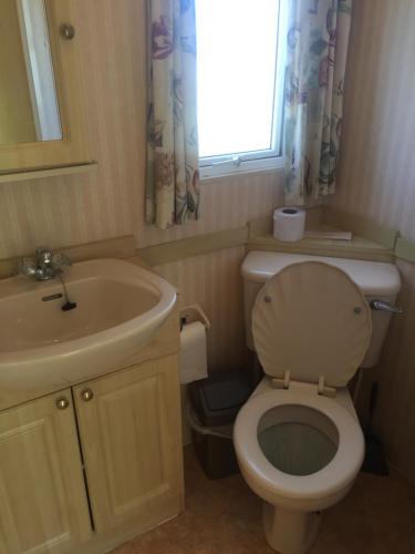 a bathroom with a toilet and a sink and a window at Three bedroom Hartland Caravan in Bideford
