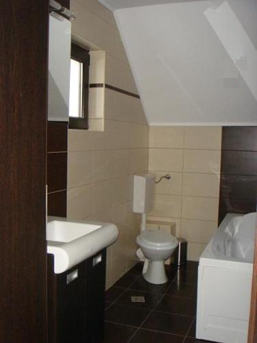 a bathroom with a white toilet and a sink at La Craita in Bran
