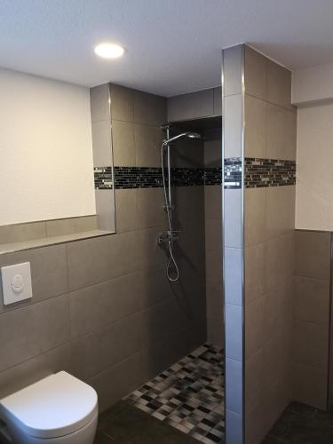 a bathroom with a shower and a toilet at Ferienhaus Seedo in Herleshausen