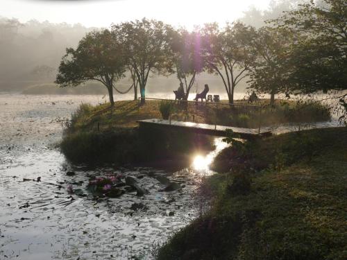a river with a group of ducks in the water at Estate Stay - Riverside Coffee in Siddapur