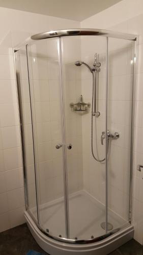ツェル・アム・ゼーにあるStudio-Apartment Areitのバスルーム(ガラス張りのシャワー付)が備わります。