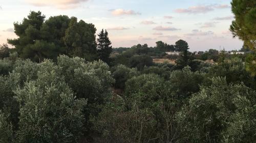 Φυσικό τοπίο κοντά σε αυτή η παραθεριστική κατοικία