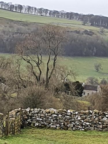 a painting of a stone fence and a field at Bolton arms downholme in Richmond