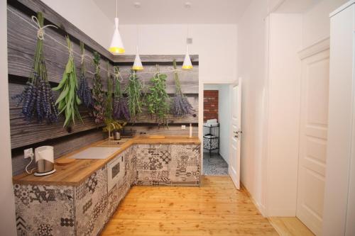 A kitchen or kitchenette at Apartament 511 Katarzyny