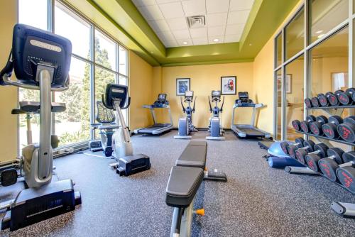 a gym with treadmills and cardio machines at Holiday Inn Indianapolis North-Carmel by IHG in Carmel