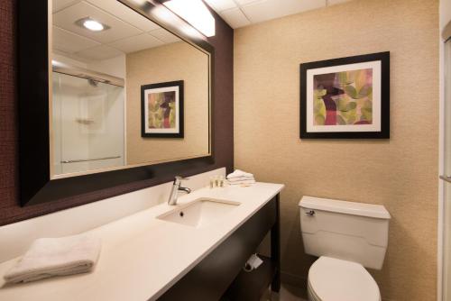 Holiday Inn Williamsport, an IHG Hotel tesisinde bir banyo