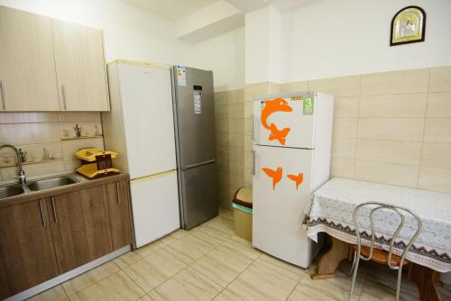 a small kitchen with a refrigerator and a sink at Vila Moecel in Moieciu de Sus