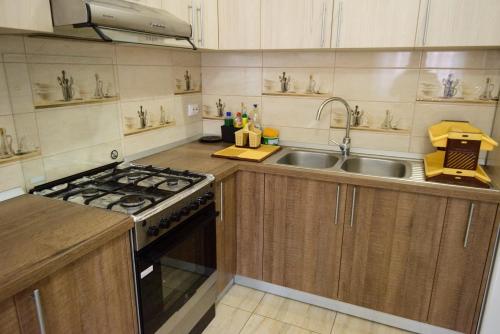 a kitchen with a stove and a sink at Vila Moecel in Moieciu de Sus