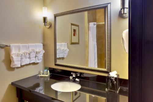 A bathroom at Holiday Inn Killeen Fort Hood, an IHG Hotel