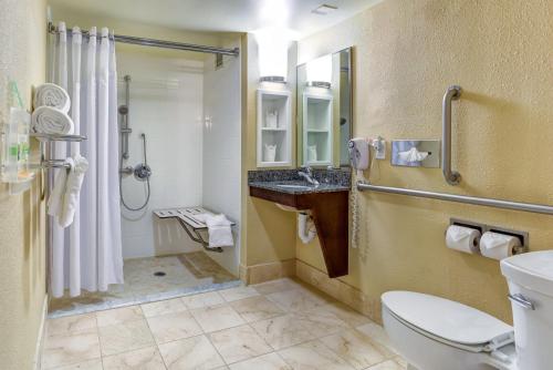 a bathroom with a toilet and a sink and a shower at Holiday Inn Indianapolis North-Carmel by IHG in Carmel