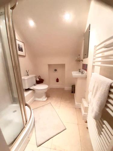 a bathroom with a shower and a toilet and a sink at Stanton House Annex in Bakewell