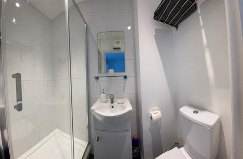 a bathroom with a shower and a sink and a toilet at Small Self Contained Studio In Sutton Coldfield in Birmingham