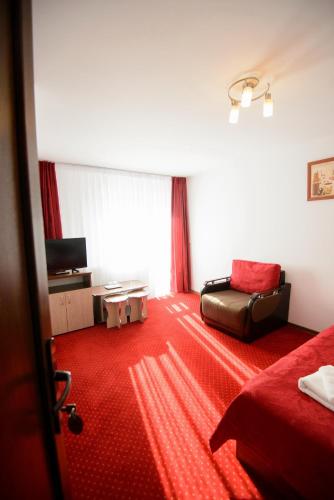 a hotel room with a bed and a couch at Vila Moecel in Moieciu de Sus