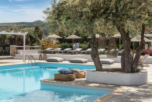 uma piscina com uma árvore e algumas cadeiras em Verina Terra em Platis Gialos, Sifnos