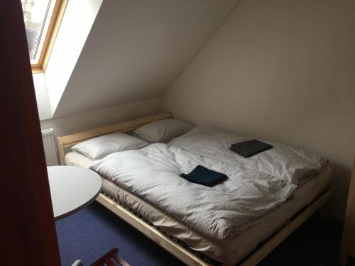 ein kleines Bett mit zwei Kissen darauf in einem Zimmer in der Unterkunft Ubytování Na Házce 228 in Turnov